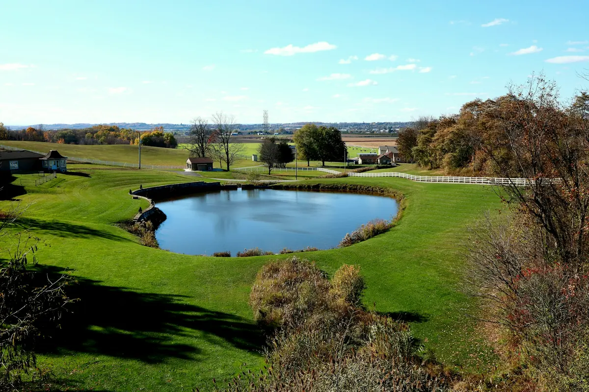 Mare en bordure de prairie, vue depuis le haut de la pente