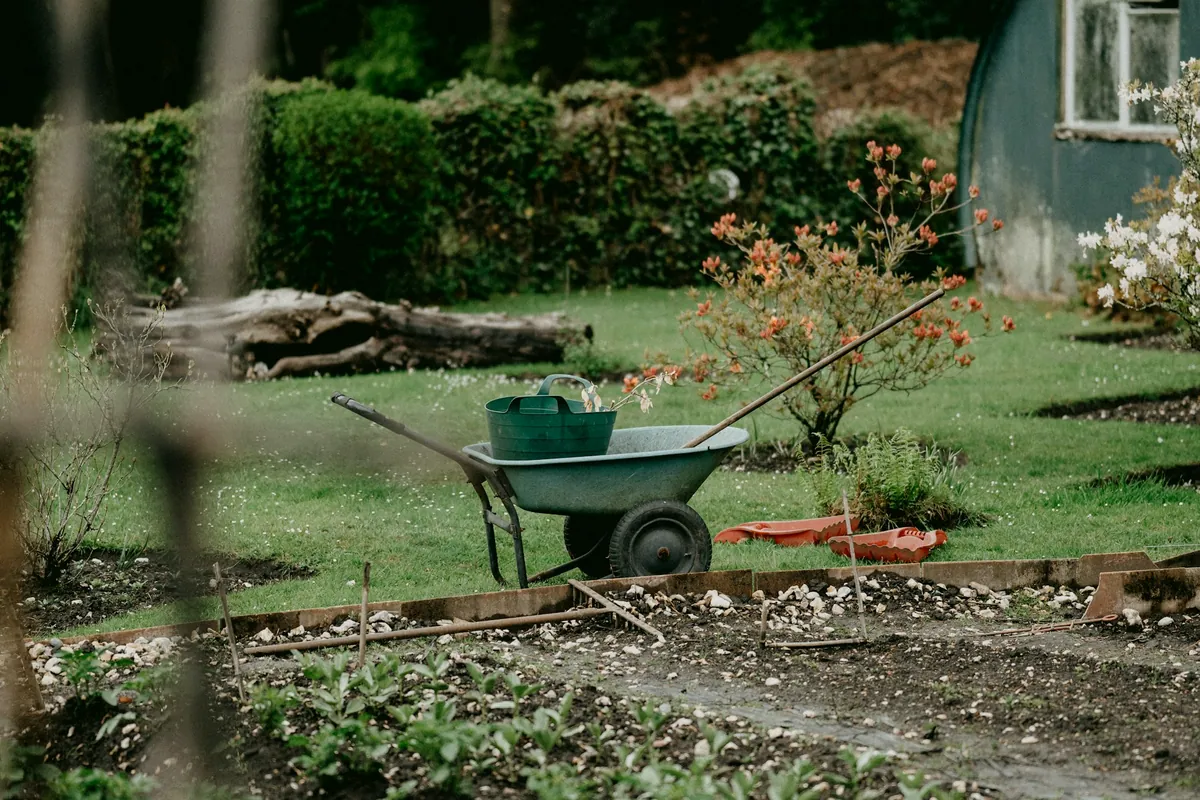 Brouette verte au bord d’un jardin potager